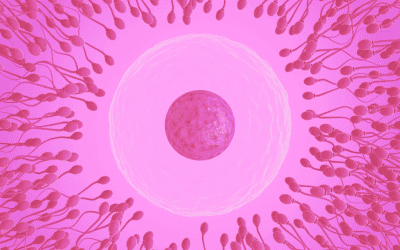 IVF with Egg Donation – Why People Turn to Egg Donors